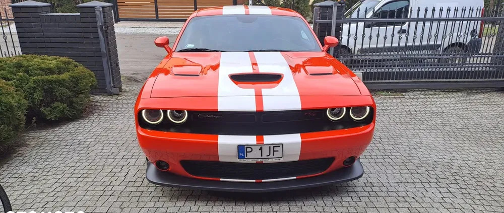 dodge challenger wielkopolskie Dodge Challenger cena 225000 przebieg: 33000, rok produkcji 2019 z Karlino